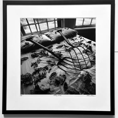 Framed Editioned Photograph Raking Leaves Arthur Tress