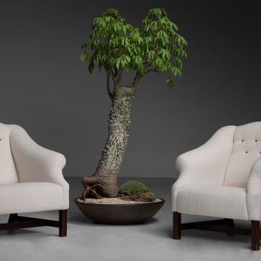 Shearling Armchairs / Bonsai