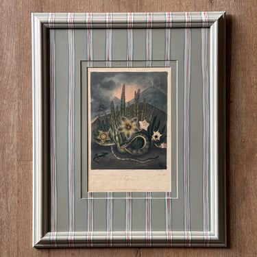 19th C. Diminutive Engraving of Dr. Robert Thornton Hand-Colored Floral Botanicals of Stapelias I in Gusto Painted Frame