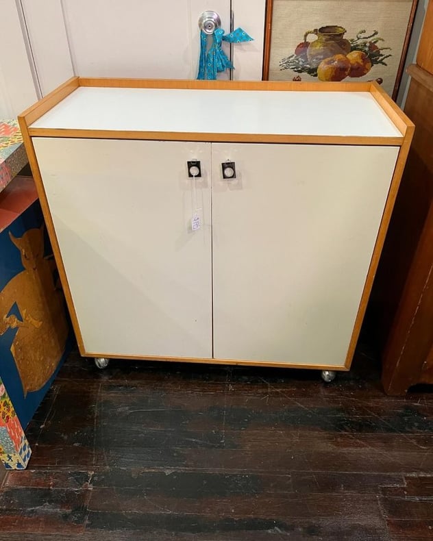 Rolling storage cabinet. 36” x 16” x 35” 