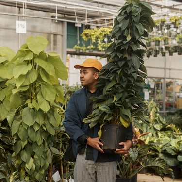Earth Day - Large Specimen Plant Sale