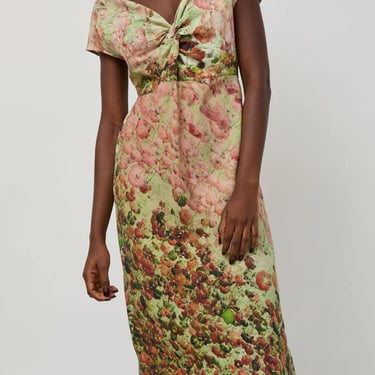 Naomi Dress in Auburn Floral - No. 6