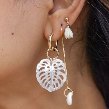 Gold Filled Monstera Hoop Earrings, Shell Statement Earrings, Statement Gold Hoops, Gold Leaf Earring,Shell Hoop Earrings, Hawaii Jewelry 