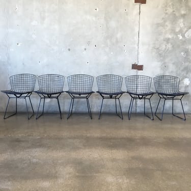 Set Of Six Genuine Bertoia Side  Chairs