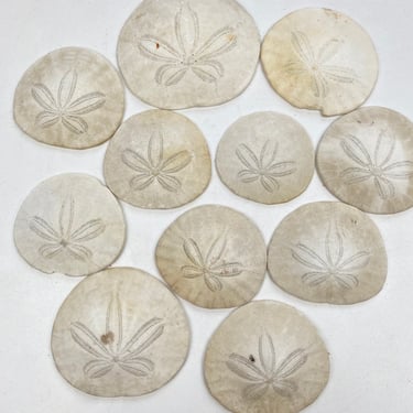 10, Pacific North West Sand Dollars 
