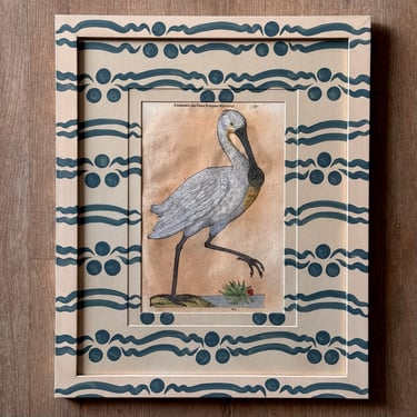 Aldrovandi Hand-Colored Bird Engraving in Gusto Painted Frame and Mat IV