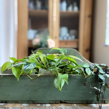 Beautiful vintage French wooden plants carrier, garden pot carrier 