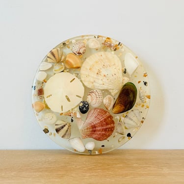 Vintage Resin Shell and Sand Dollar Trivet 