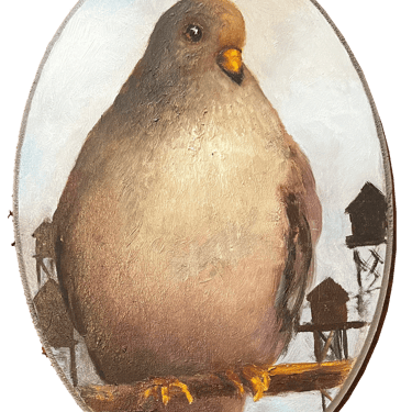 "Roosevelt" Pigeon