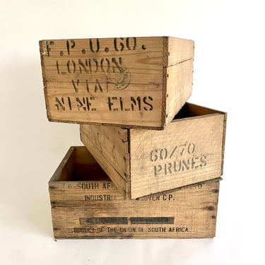 South African/London Prune Crates 