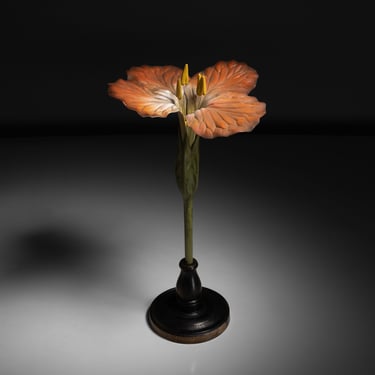 Orange Wallflower Botanical Model
