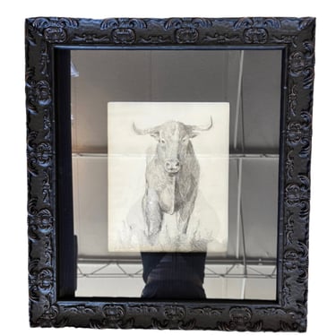Bull Sketch Framed