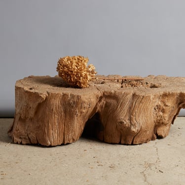 Ancient Natural Teak Coffee Table Bench