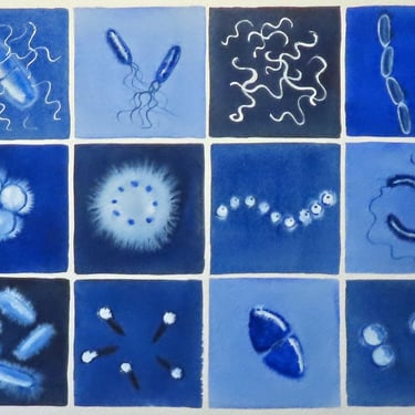 Deep Blue Bacteria  - original watercolor painting of microbes - microbiology art 