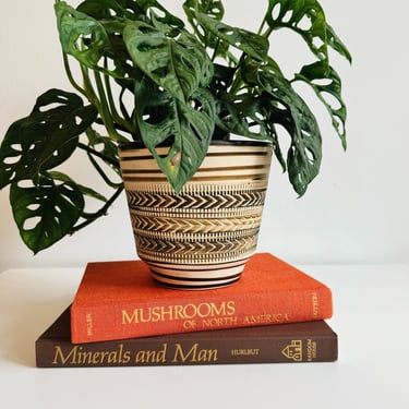 Brown and Cream MCM Patterned Planter