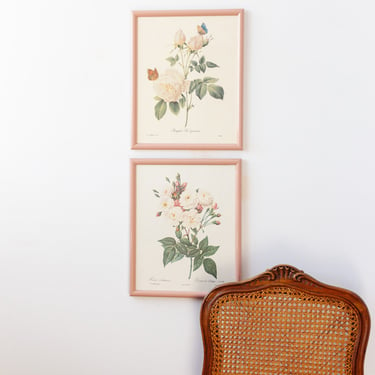 vintage french framed PJ Redouté botanical lithograph