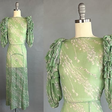 1930s Chiffon Gown / Green Silk Chiffon Gown with Pussy Willow Motif & Ruffled Sleeves / Statement Sleeves / Size Small 