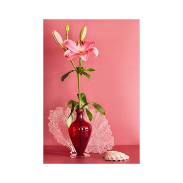 Still Life With Pink Stargazer Lily: Dutch Still Life, Floral Photo, Modern Art, Wall Hanging, Decorative, Fine Art, Pink Floral. Red Floral 