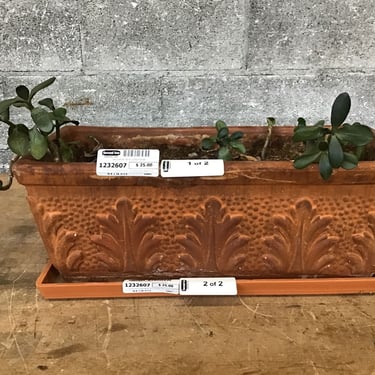 Decorative Terra Cotta Planter (Seattle)