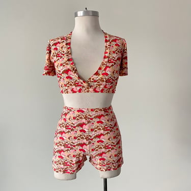 Vintage 1970s 2pc Outfit / Vintage Roller Girl Outfit / Polyester House Print Outfit / Vintage Mini Shorts and Crop Top / Super 70s Outfit 