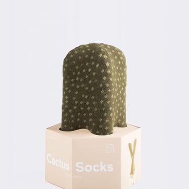 Socks | Mammillaria Cactus