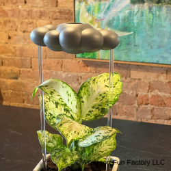 Stormy Cloud Plant Waterer