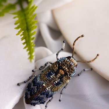 Embroidered Florentinus Beetle Pin