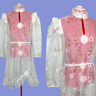 1970s Vintage Sheer Floral Prairie Dress Fairycore Summer Style 