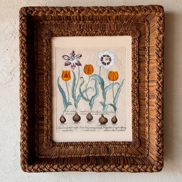 Gusto Woven Frame with Besler Engraving of Tulips I