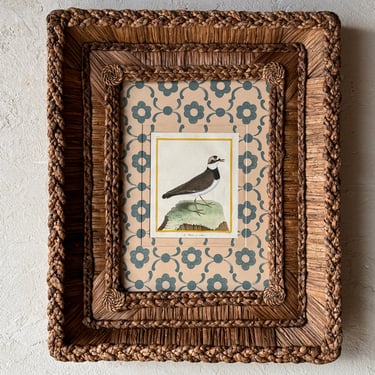Gusto Woven Frame with Francois Nicolas Martinet Hand-Colored Bird Engraving XXVII