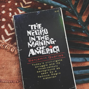 Vintage Paperback "The Negro In The Making of America" (First Edition, 1964)