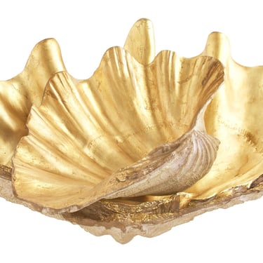 Gilt Shells