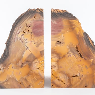 Petrified Wood Mineral Specimen Bookends, Pair