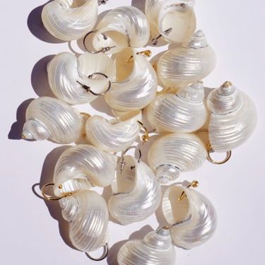 Luiny - Turbo Shell Earrings
