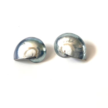 Vintage Shell Earrings, Nautilus Shell Earrings, Seashell Jewelry, Marine Life Earrings, Nautical Earrings, Shell Stud Earrings, Shell Jewel 