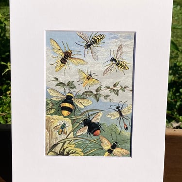 Bees Print in White Matte