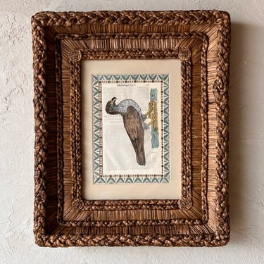Gusto Woven Frame with Aldrovandi Hand-Colored Ornithological Engraving XIX