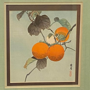 Japanese Woodblock Art Print Keigetsu Nuthatch & Persimmon Koson Ohara Signed 