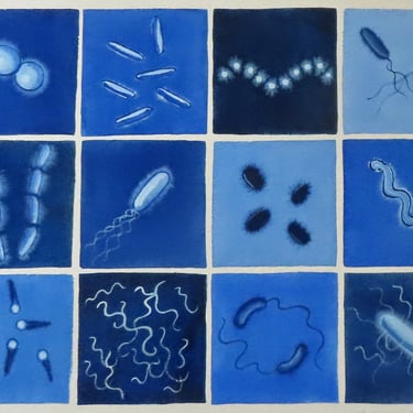 Deep Blue Bacteria  - original watercolor painting of microbes - microbiology art 