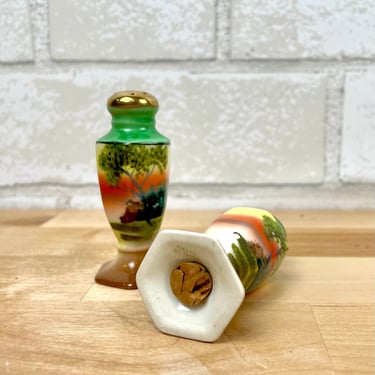 Vintage Japanese Hand-Painted Porcelain Lusterware Salt & Pepper Shakers with Cork Stoppers 