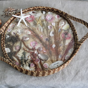 Large Vintage Sea shells Under Glass Tray with Pine Needle frame 