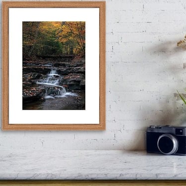 Fall Forest Photography, Waterfall Print, Ricketts Glen Park Art, Pennsylvania Autumn Wall Art, Waterfall Photo, Pennsylvania Mountain Print 
