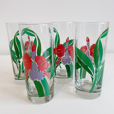 Set of 4 Iris Highball Glasses