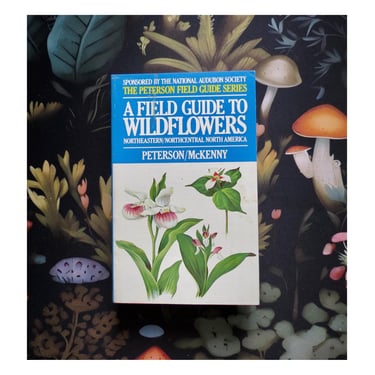 A Field Guide to Wildflowers - Peterson Paperback Book - Northeastern North America - Wildflower Identification 