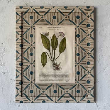 16th C. Pietro Andrea Mattioli Botanical Engraving in Gusto Painted Frame and Mat III