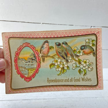 Vintage 1900's Victorian Blue Bird On Dogwood Branch, Remembrance And All Good Wishes // Postcard Collector // Perfect Gift 