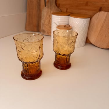 Vintage Amber Libbey Country Garden Daisy Tumbler Glasses | Set of 2 