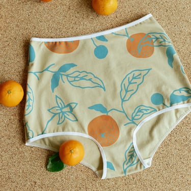 Oranges Print Underwear, Botanical Graphic Panties, Organic Cotton Lingerie 
