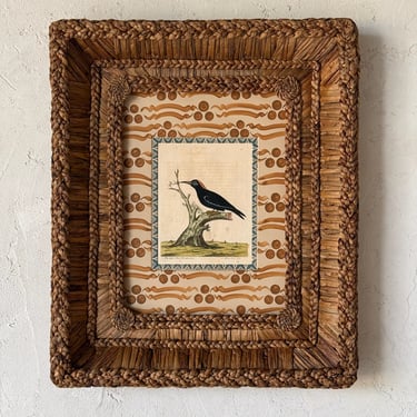 18th C. Eleazar Albin Handcolored Ornithological Engraving in Gusto Wo​ven Frame IV