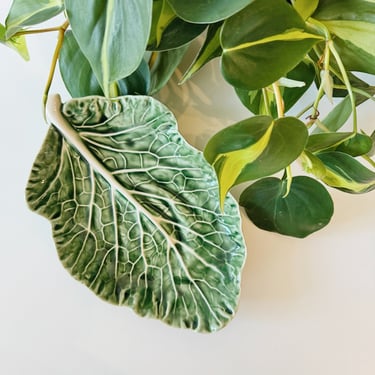 Cabbage Leaf Dish by Bordallo Pinheiro